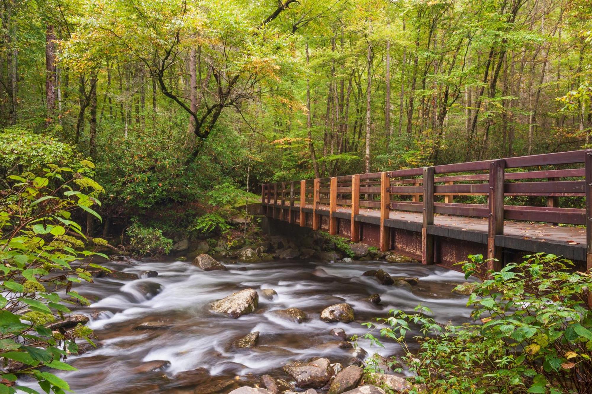Breathtaking View, Hot Tub, 1089 Of Free Attraction Tickets For Each Paid Day, Dollywood And More! Севьервилл Экстерьер фото